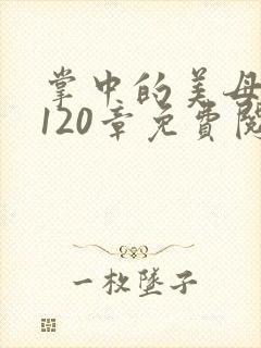掌中的美母版主120章免费阅读
