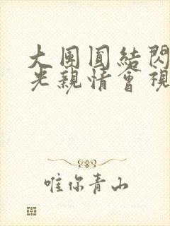 大团圆结闪闪发光亲情会视频