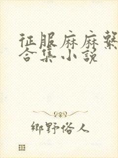 征服麻麻系列大合集小说