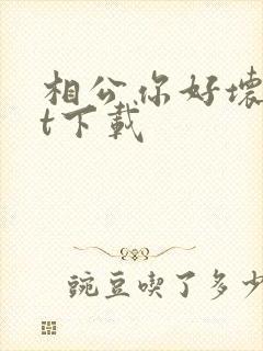相公你好坏txt下载
