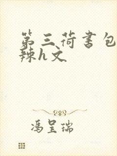 第三荷书包网高辣h文
