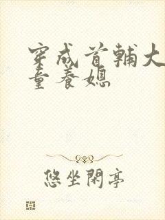 穿成首辅大人的童养媳