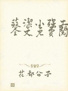 苏洁小强工地情全文免费阅读