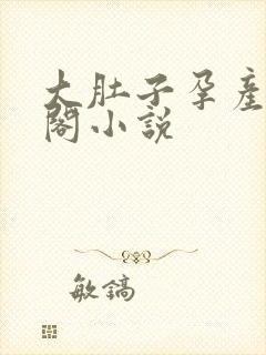 大肚子孕产笔趣阁小说