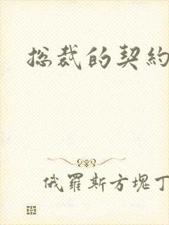 总裁的契约情人