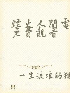 烟火人间电视剧免费观看