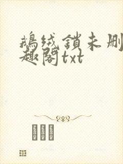 鹅绒锁未删除笔趣阁txt