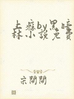 上瘾by黑暗森林小说免费