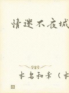 情迷不夜城