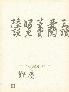 陆昭菱晋王的小说免费阅读