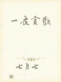 一夜贪欢