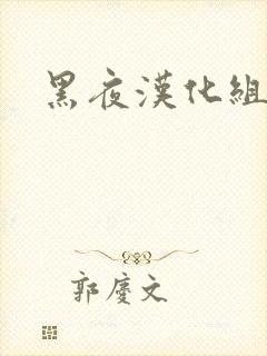 黑夜汉化组