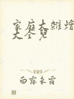 家庭大杂烩小说大全儿