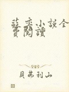 苏奕小说全文免费阅读