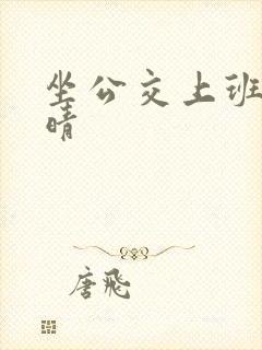 坐公交上班的苏晴