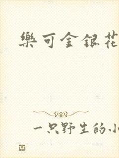 乐可金银花小说