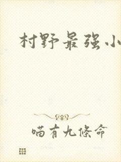 村野最强小农民