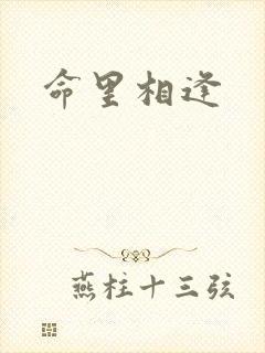 命里相逢