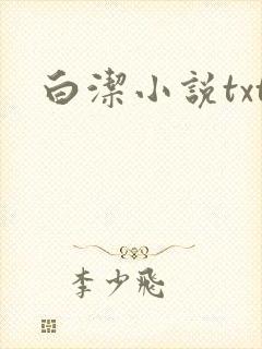 白洁小说txt