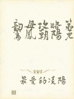 韵母攻略第二部鸾凤朝阳免费阅读