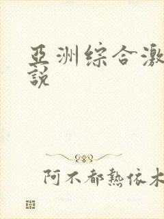 亚洲综合激情小说封面