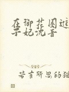 在御花园进入太子妃沈音