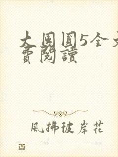 大团圆5全文免费阅读