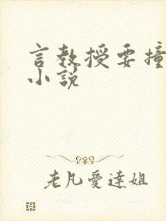 言教授要撞坏了小说