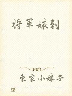将军嫁到