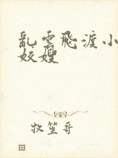 乱云飞渡小说之姣嫂