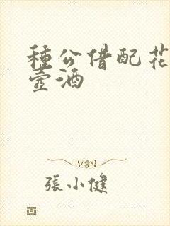 种公借配花间一壶酒封面