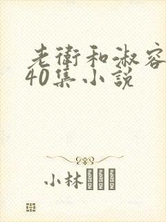 老卫和淑容1-40集小说