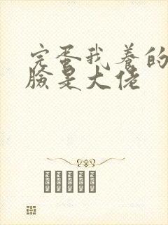 完蛋我养的小白脸是大佬