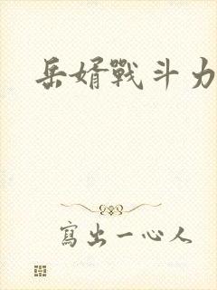 《岳婿战斗力》小说封面