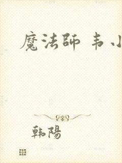 魔法师 韦小宝