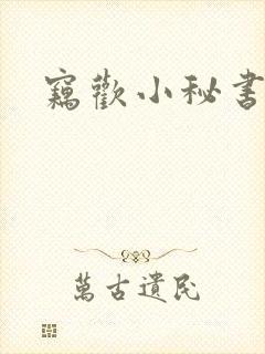 窃欢小秘书封面