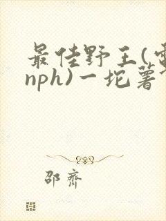 最佳野王(电竞nph)一坨薯饼