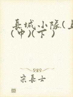长城小队(上)(中)(下 )