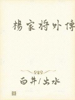 杨家将外传封面