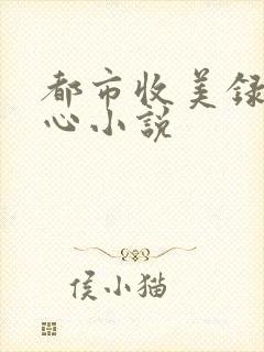 都市收美录宁素心小说