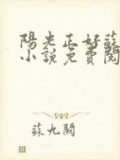 阳光正好苏玥玥小说免费阅读无弹窗