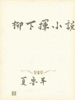 柳下挥小说封面