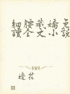 细腰藏娇免费阅读全文小说苏珞浅