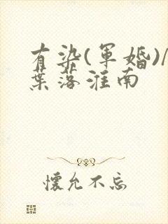 有染(军婚)/叶落淮南