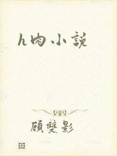 h肉小说