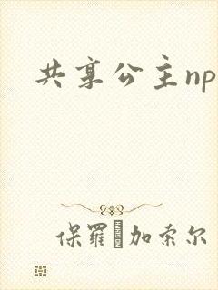 共享公主npc