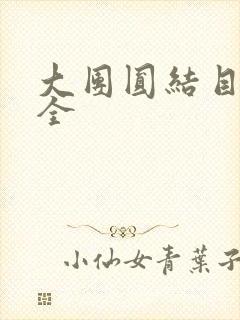 大团圆结目录大全