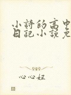 小诗的高中成长日记小说免费阅读
