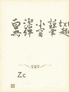 白洁小说txt无弹窗笔趣阁