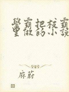 学霸把校霸往死里做的小说